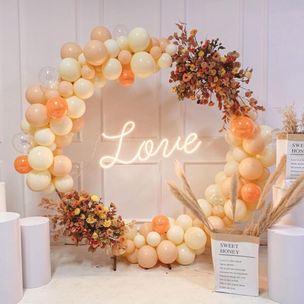 Round Backdrop 6.6 FT - Image 3